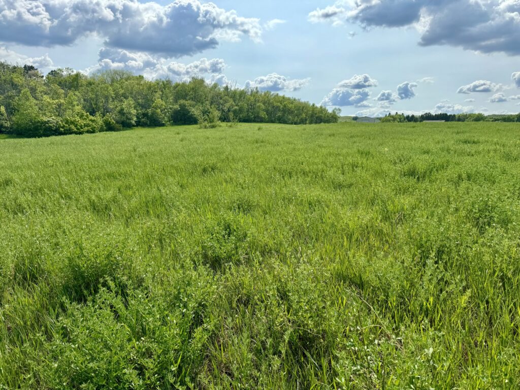 1.69 Acre Build Site – Sisseton, SD