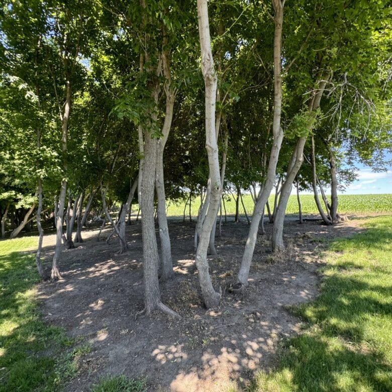 Roy Lake – 438152 Northside Dr. – Lake City, SD
