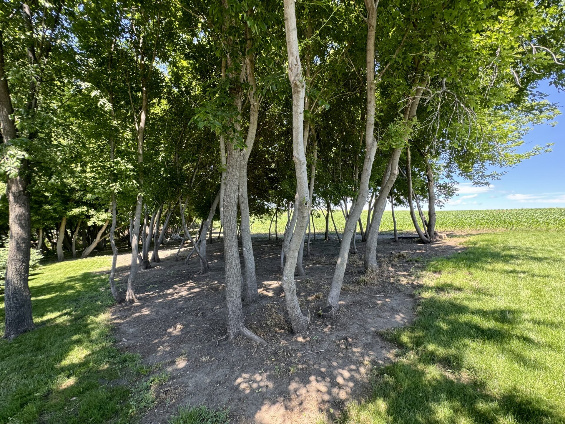 Roy Lake – 438152 Northside Dr. – Lake City, SD