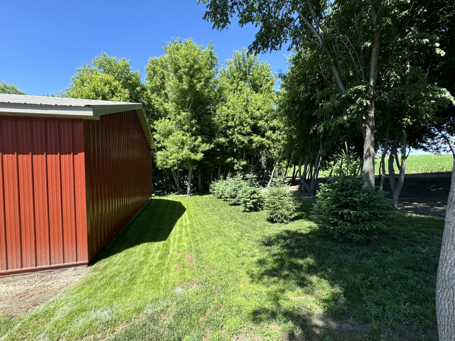 Roy Lake – 438152 Northside Dr. – Lake City, SD
