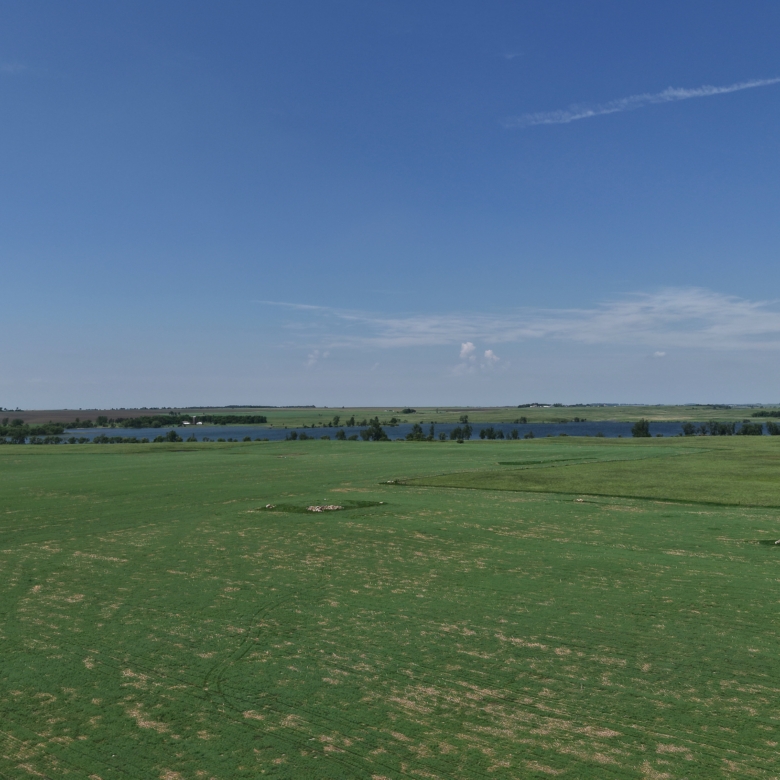 120+/- Acres Hurricane Lake Roberts County, SD