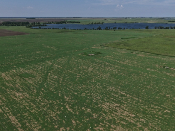120+/- Acres Hurricane Lake Roberts County, SD