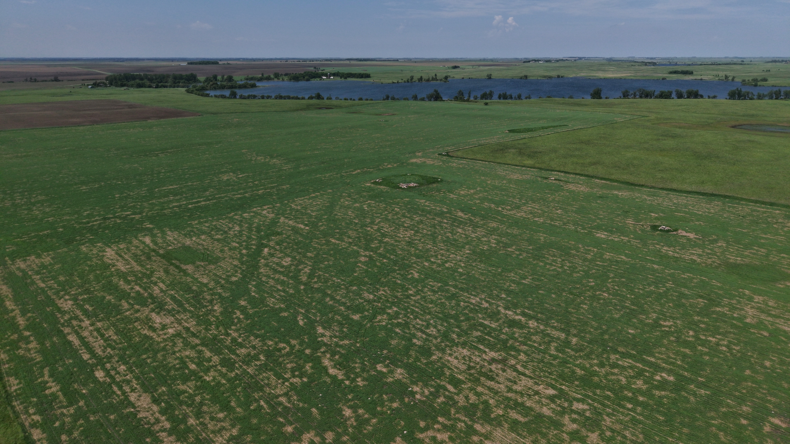120+/- Acres Hurricane Lake Roberts County, SD