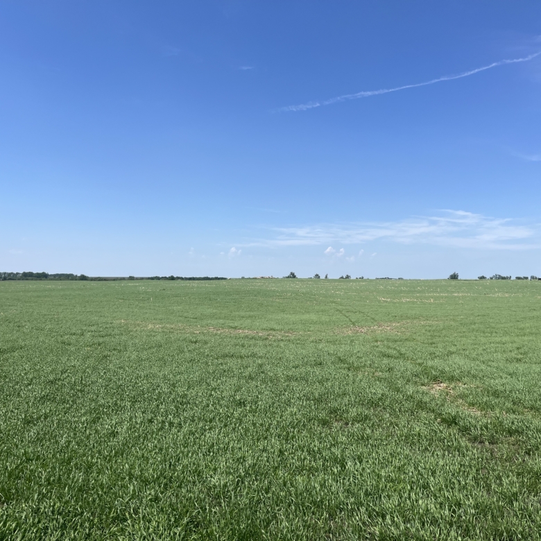 120+/- Acres Hurricane Lake Roberts County, SD