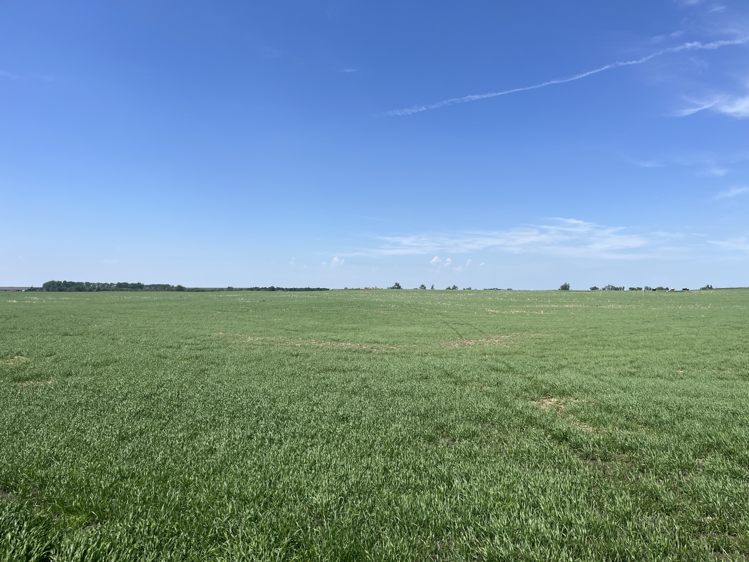 120+/- Acres Hurricane Lake Roberts County, SD