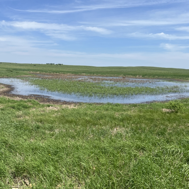 120+/- Acres Hurricane Lake Roberts County, SD