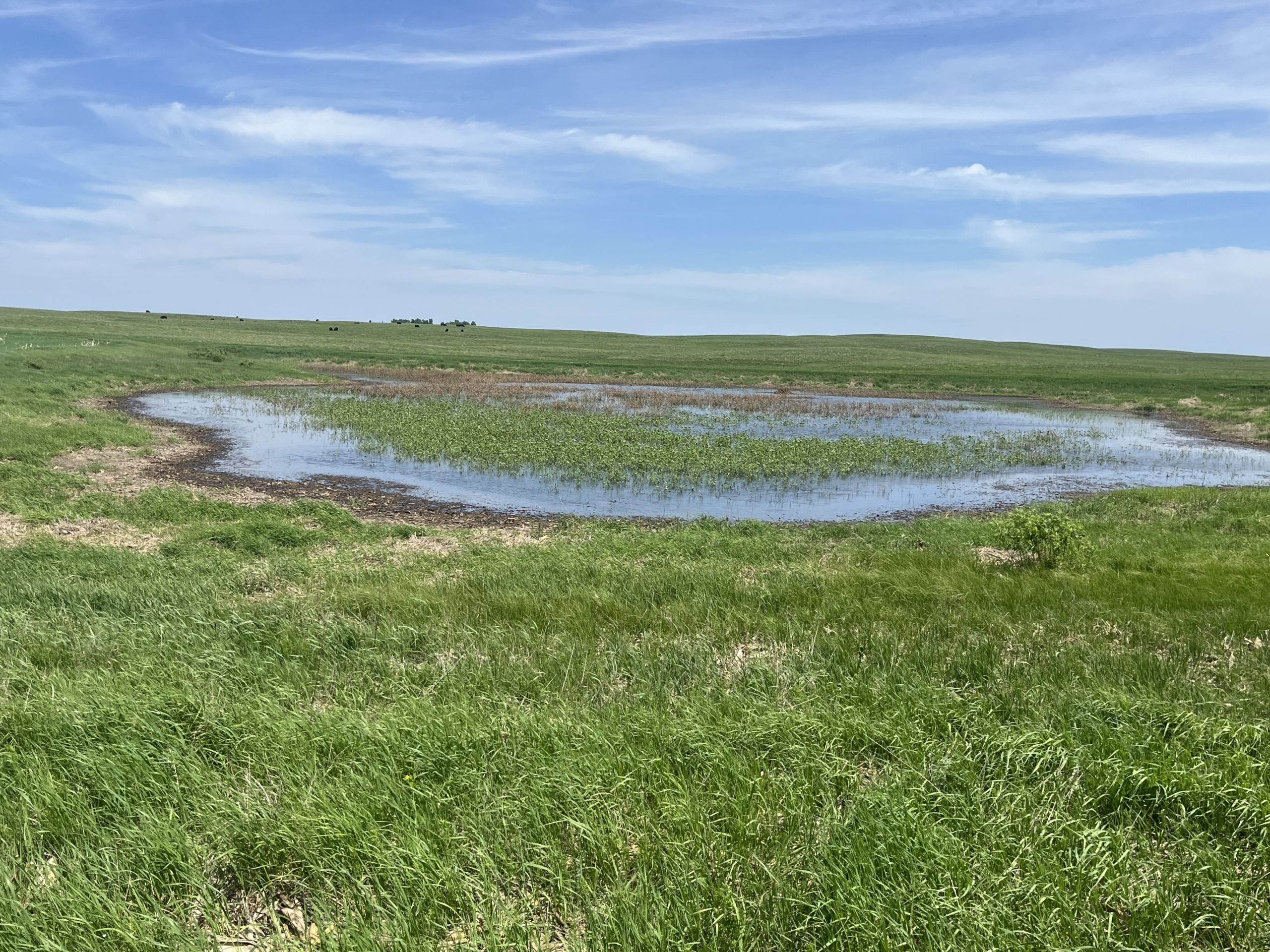 120+/- Acres Hurricane Lake Roberts County, SD