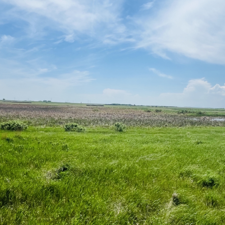 120+/- Acres Hurricane Lake Roberts County, SD