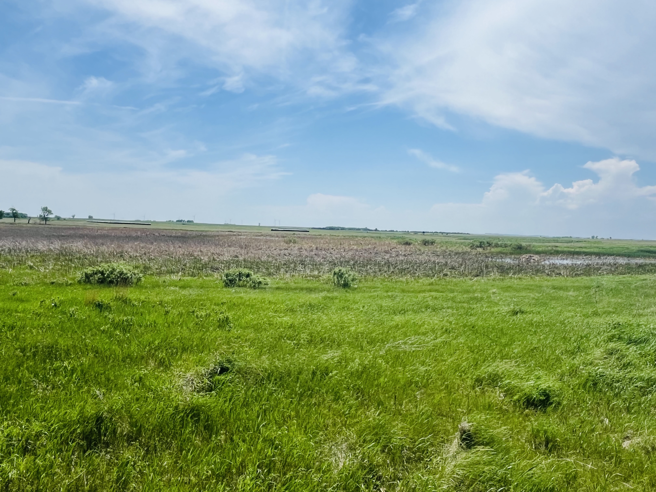 120+/- Acres Hurricane Lake Roberts County, SD