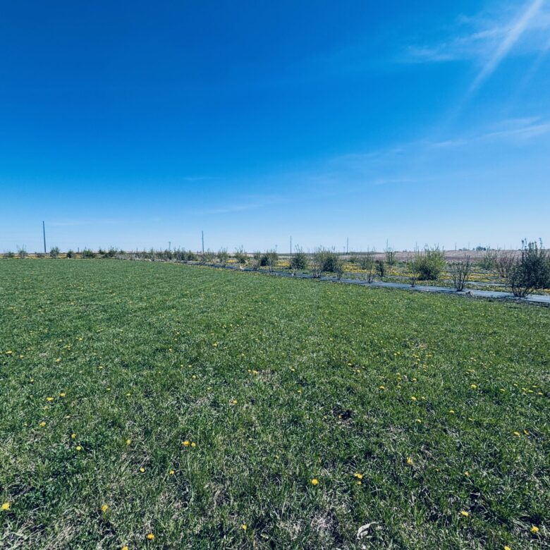 10712 Tory Road – Britton, SD