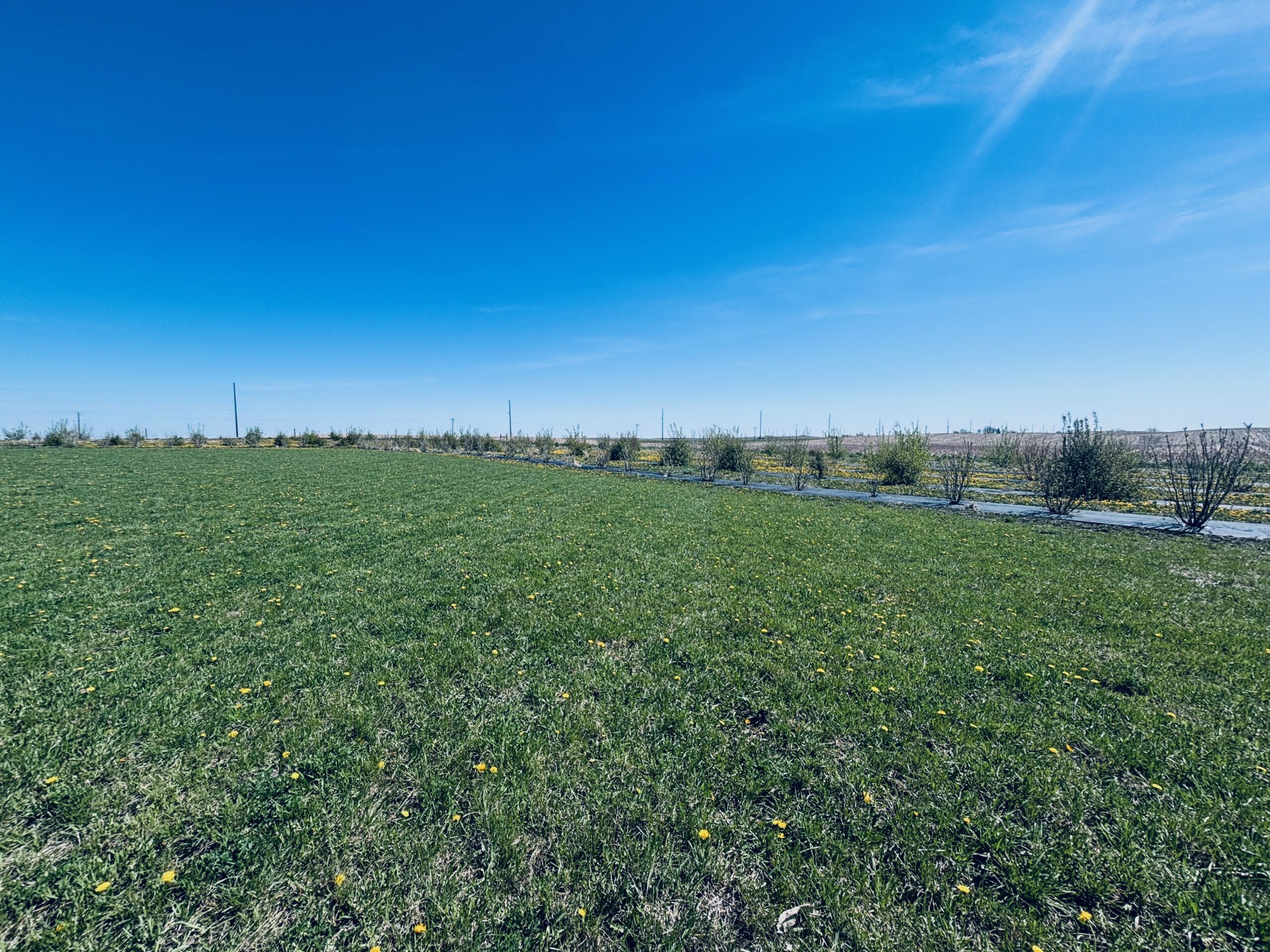 10712 Tory Road – Britton, SD