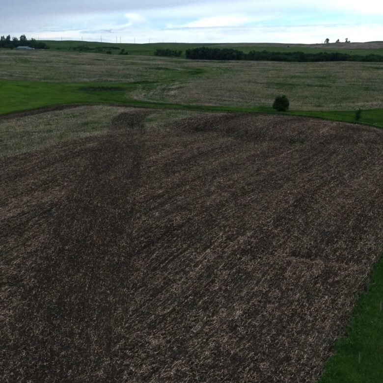 440 +/- Acres – Roberts County, SD
