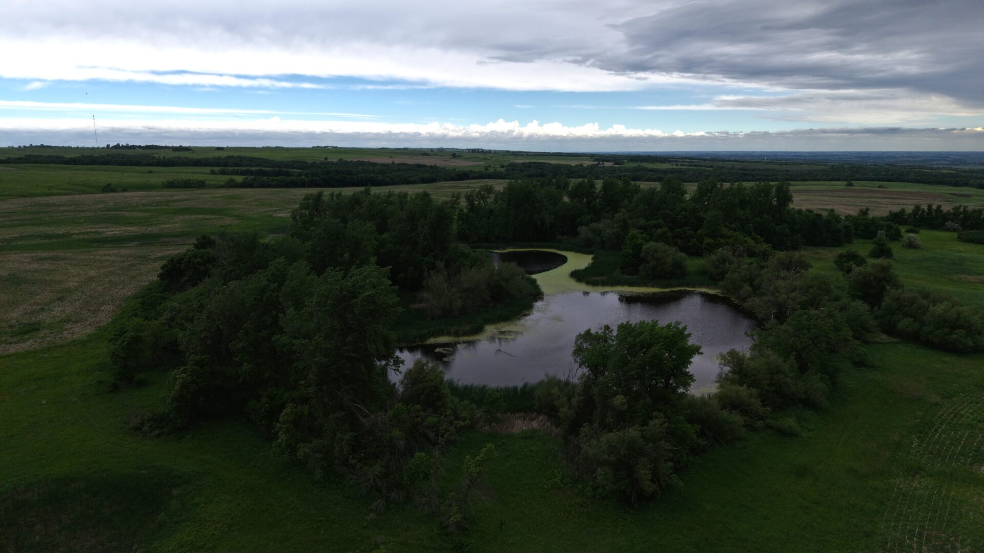 440 +/- Acres – Roberts County, SD