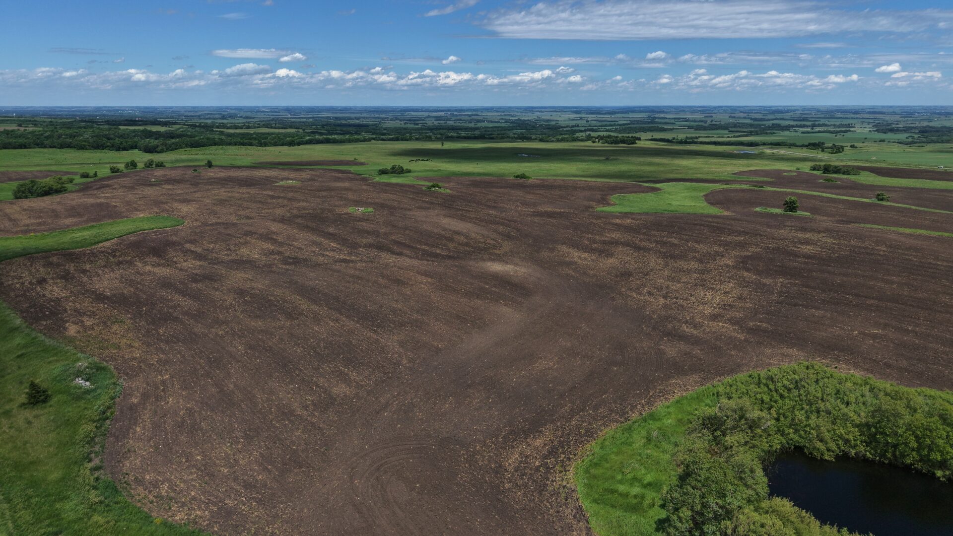 440 +/- Acres – Roberts County, SD