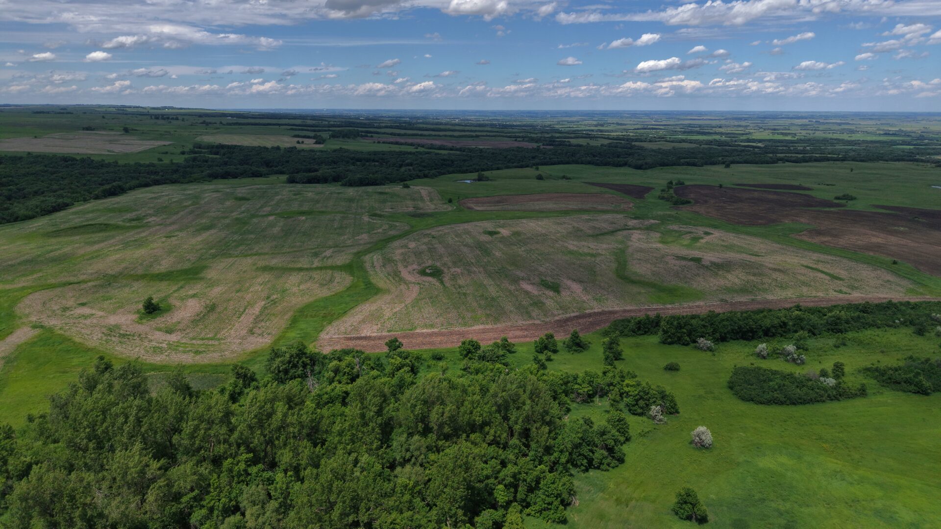 440 +/- Acres – Roberts County, SD
