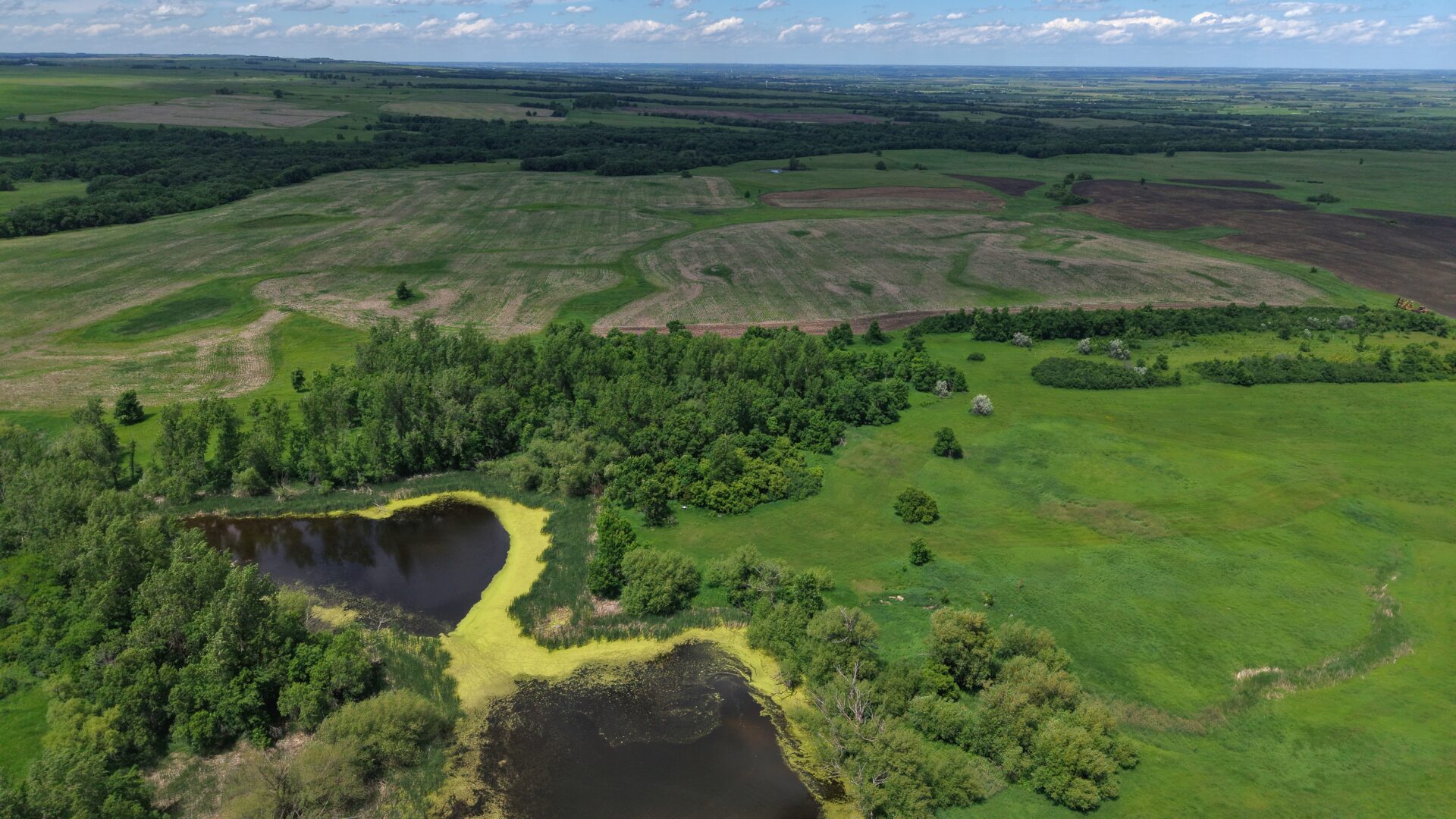 DJI_20260612144850_0475_D 440 +/- Acres – Roberts County, SD
