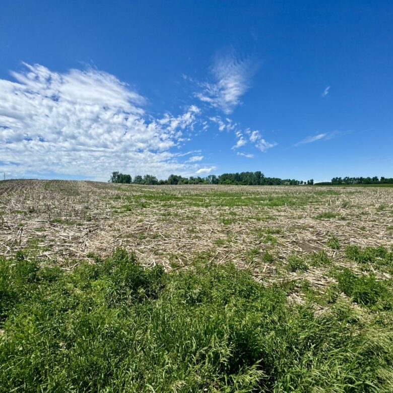 440 +/- Acres – Roberts County, SD