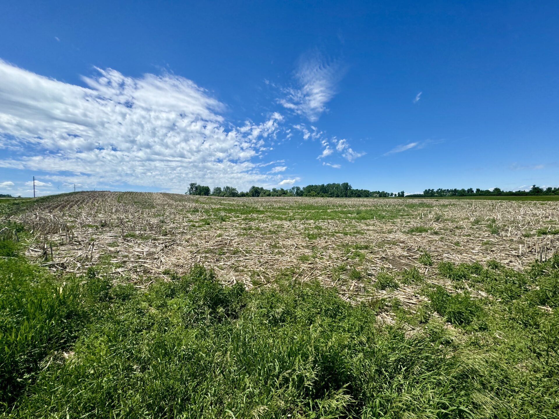 440 +/- Acres – Roberts County, SD