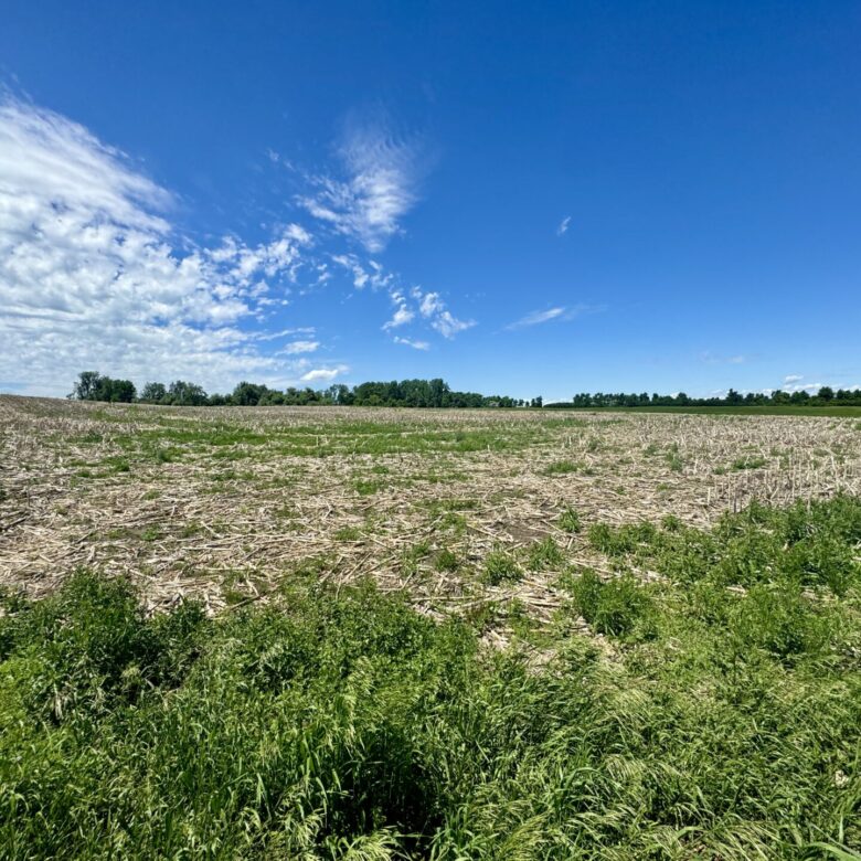 440 +/- Acres – Roberts County, SD