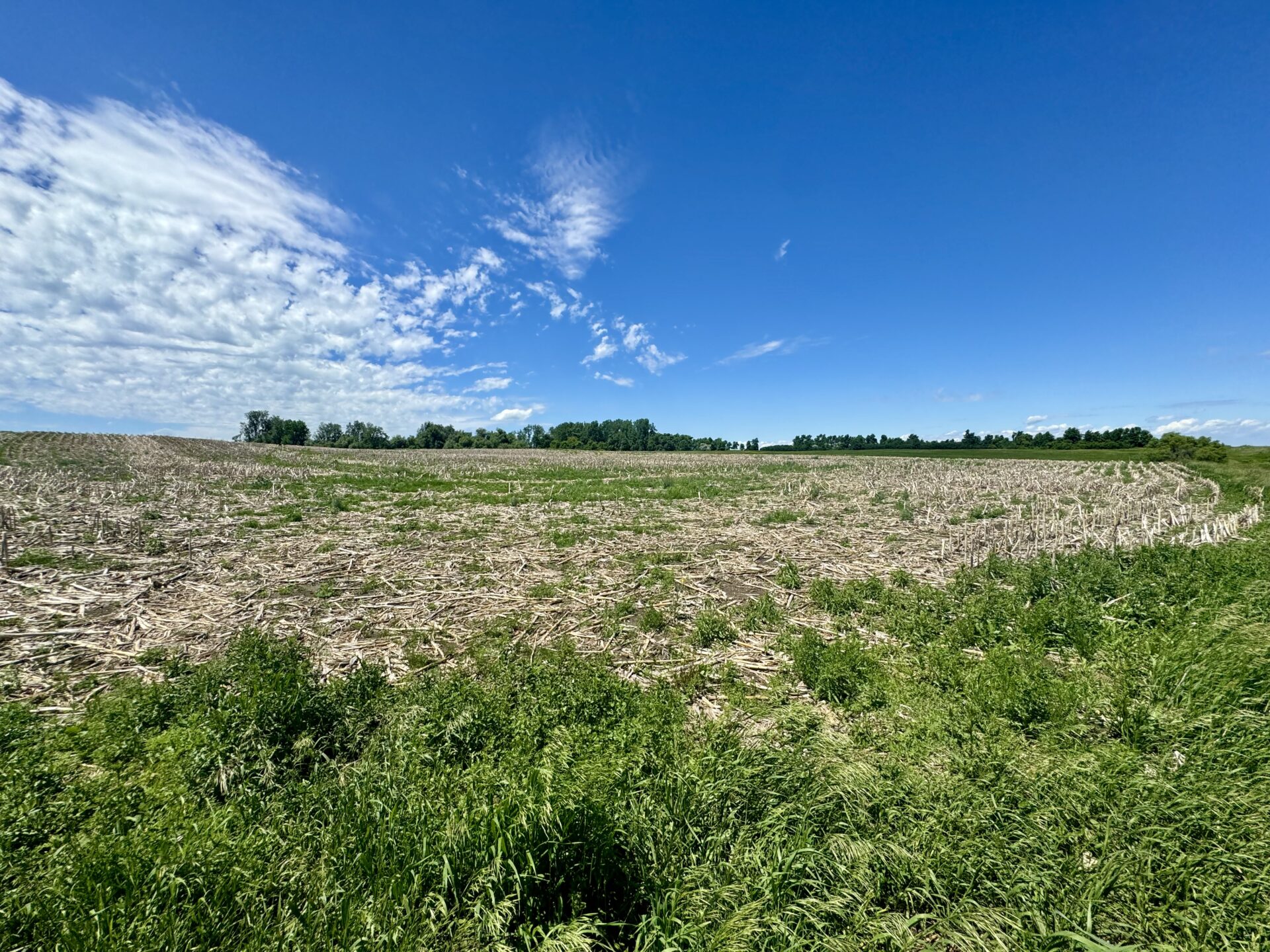440 +/- Acres – Roberts County, SD