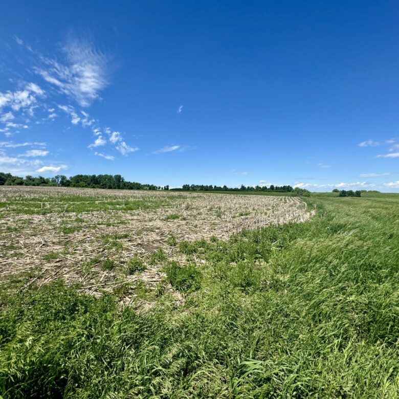 440 +/- Acres – Roberts County, SD
