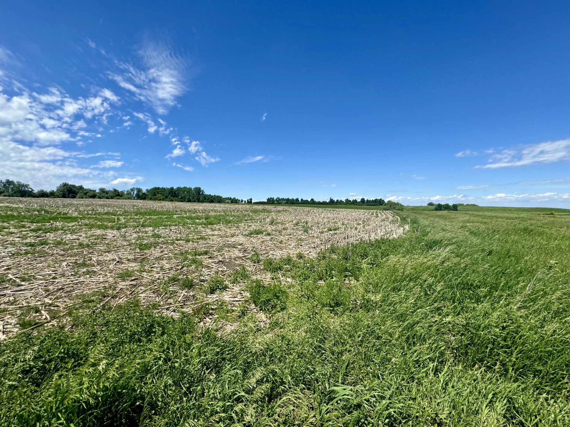 440 +/- Acres – Roberts County, SD