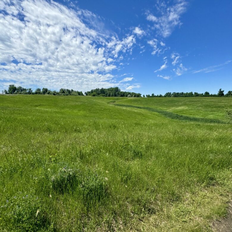 440 +/- Acres – Roberts County, SD