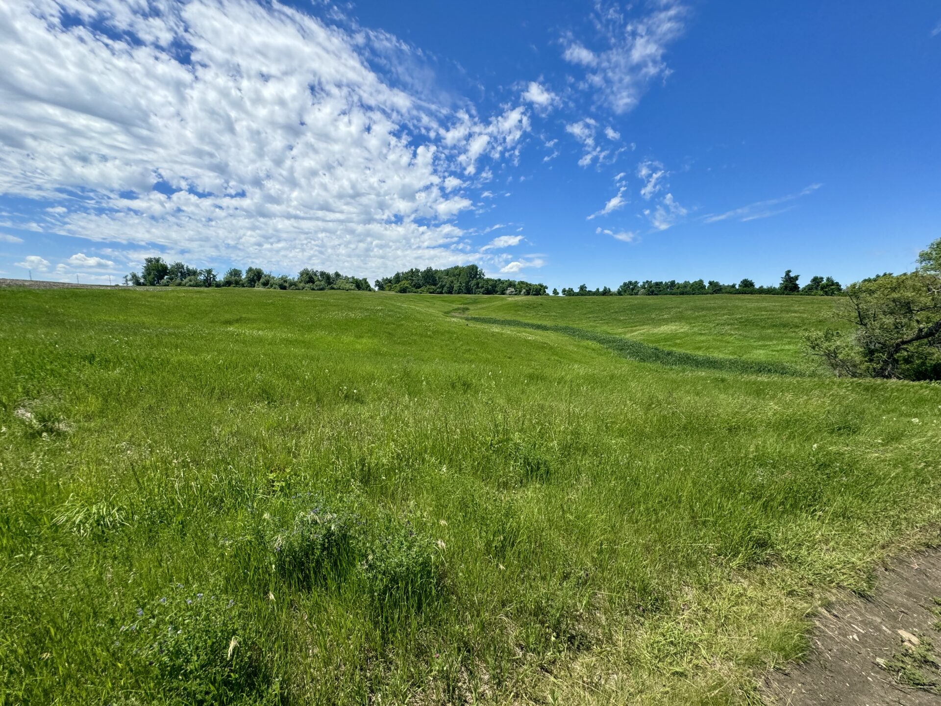 440 +/- Acres – Roberts County, SD