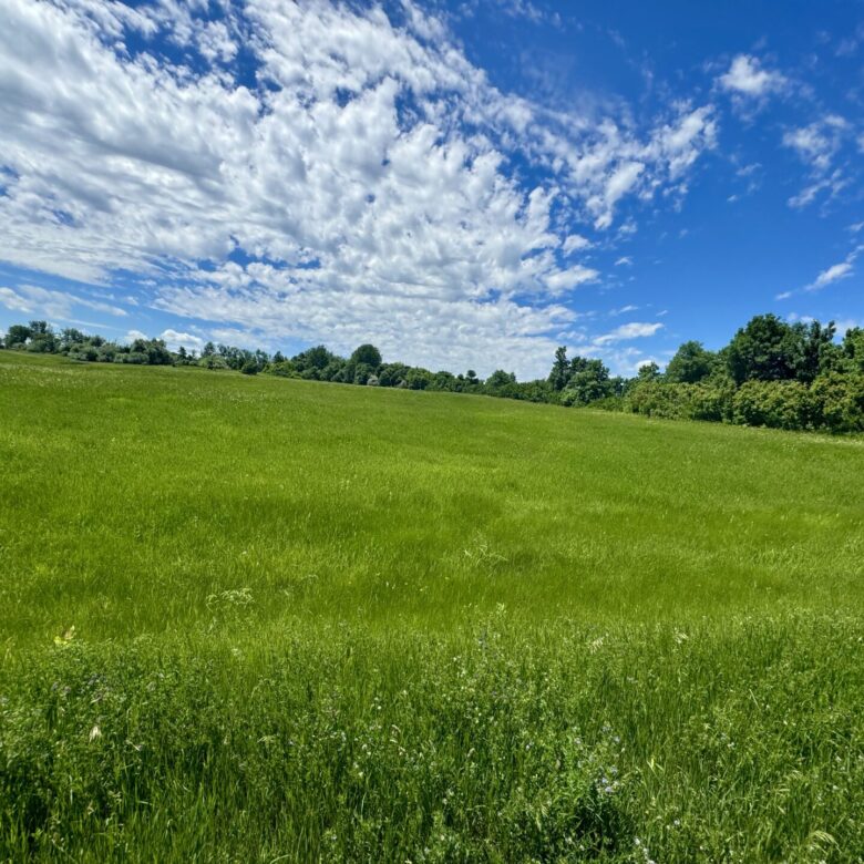 440 +/- Acres – Roberts County, SD