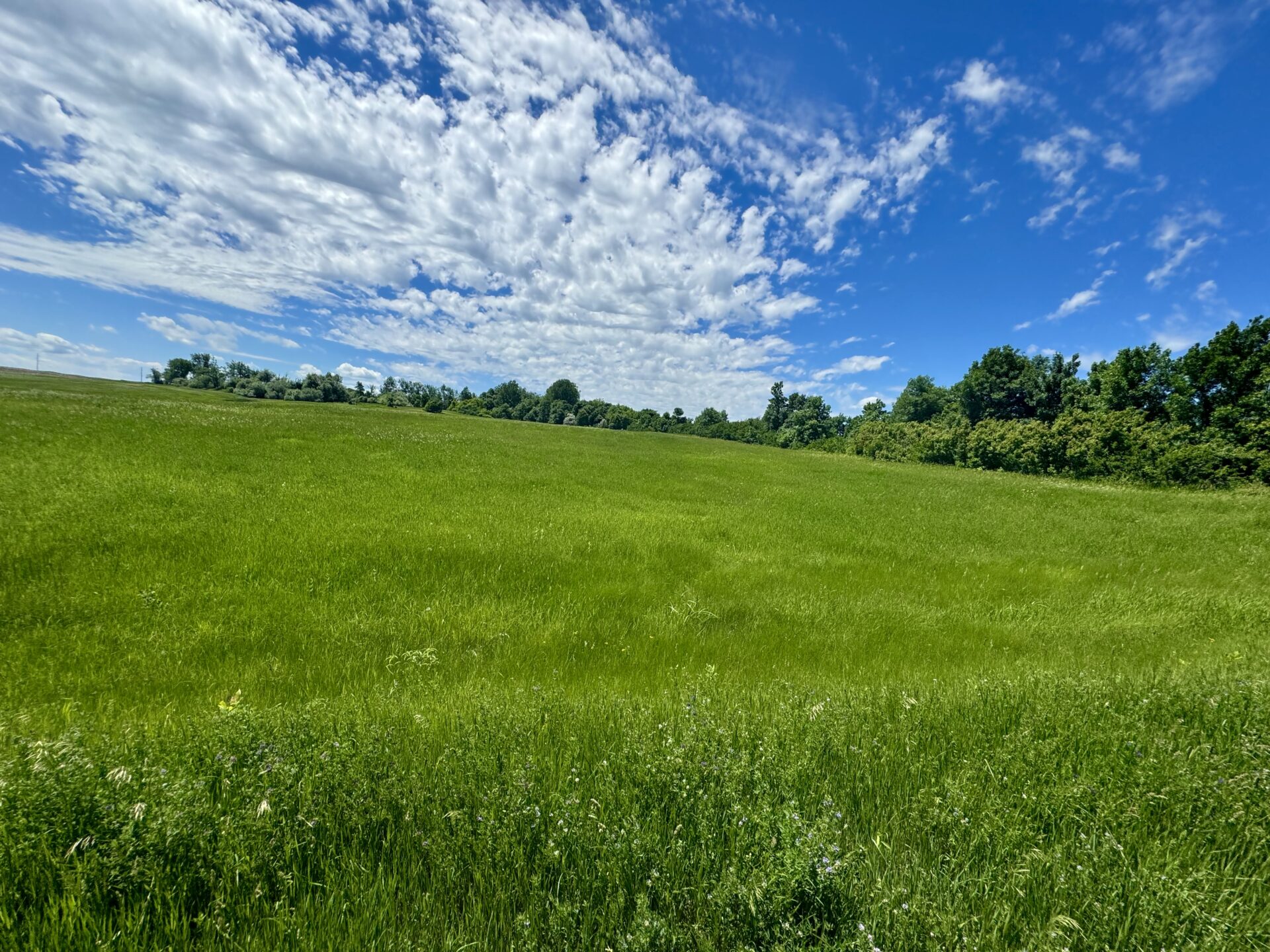 440 +/- Acres – Roberts County, SD