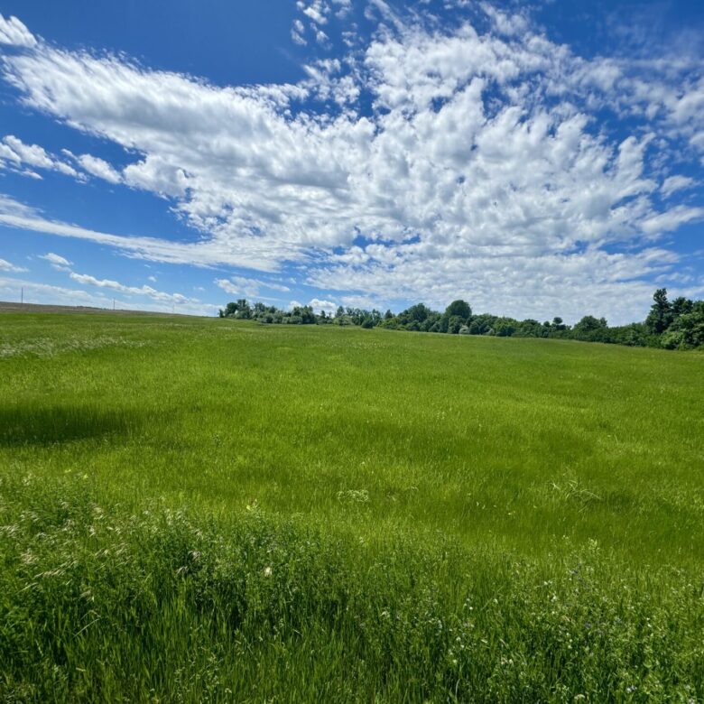 440 +/- Acres – Roberts County, SD