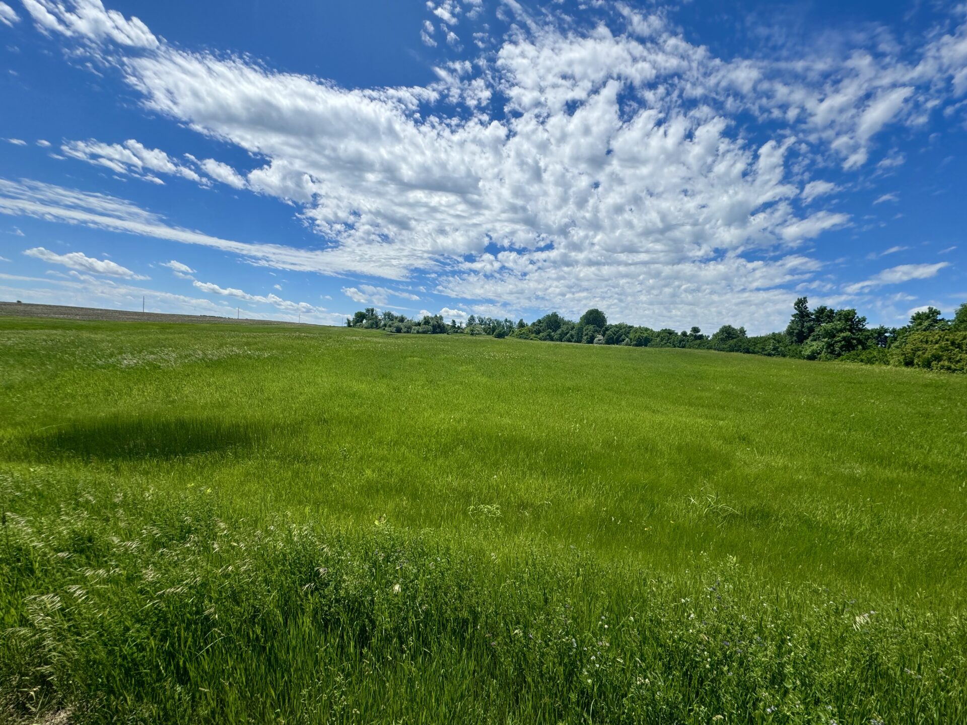 440 +/- Acres – Roberts County, SD