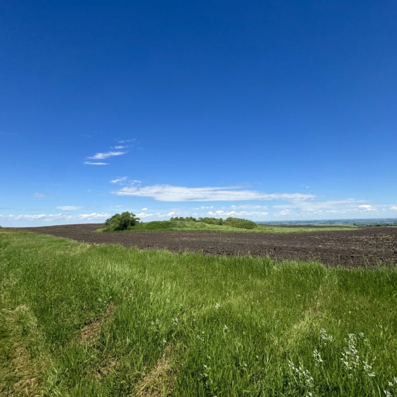 440 +/- Acres – Roberts County, SD