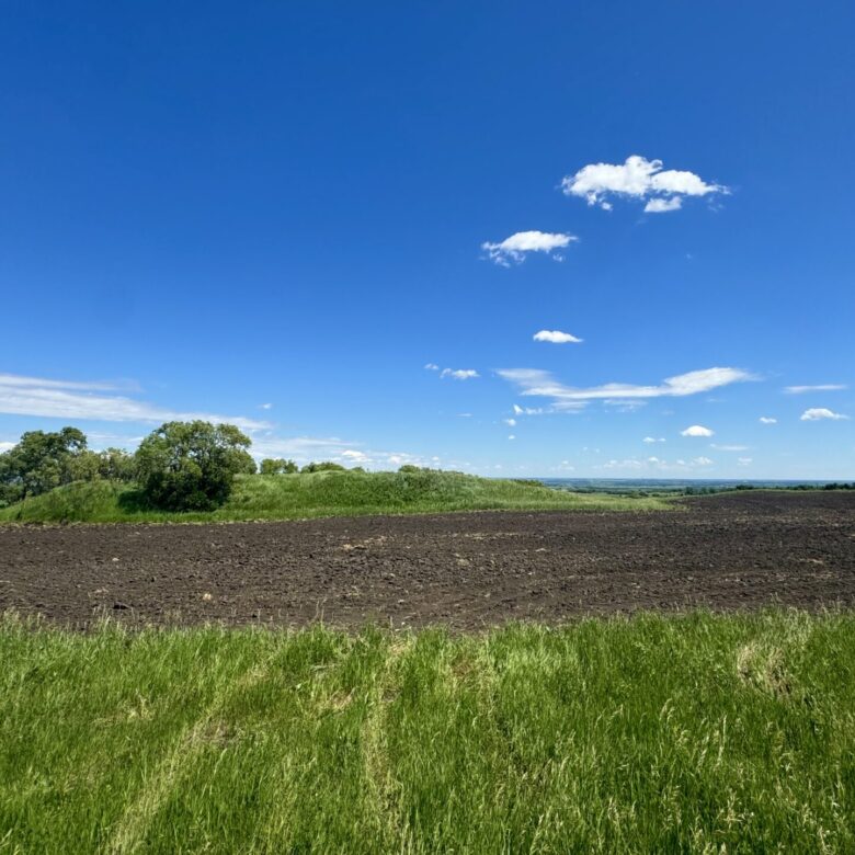 440 +/- Acres – Roberts County, SD