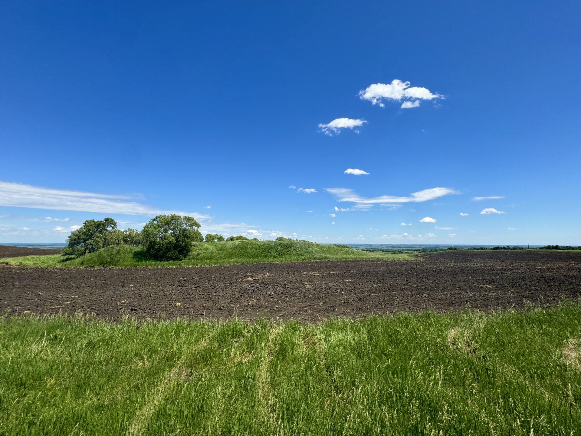 440 +/- Acres – Roberts County, SD