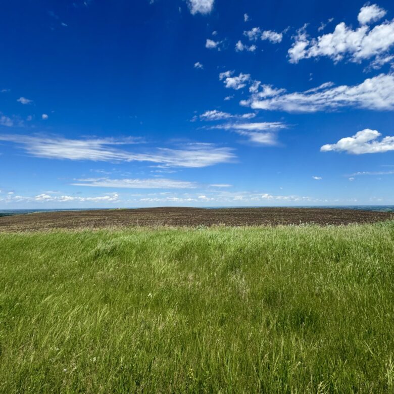 440 +/- Acres – Roberts County, SD