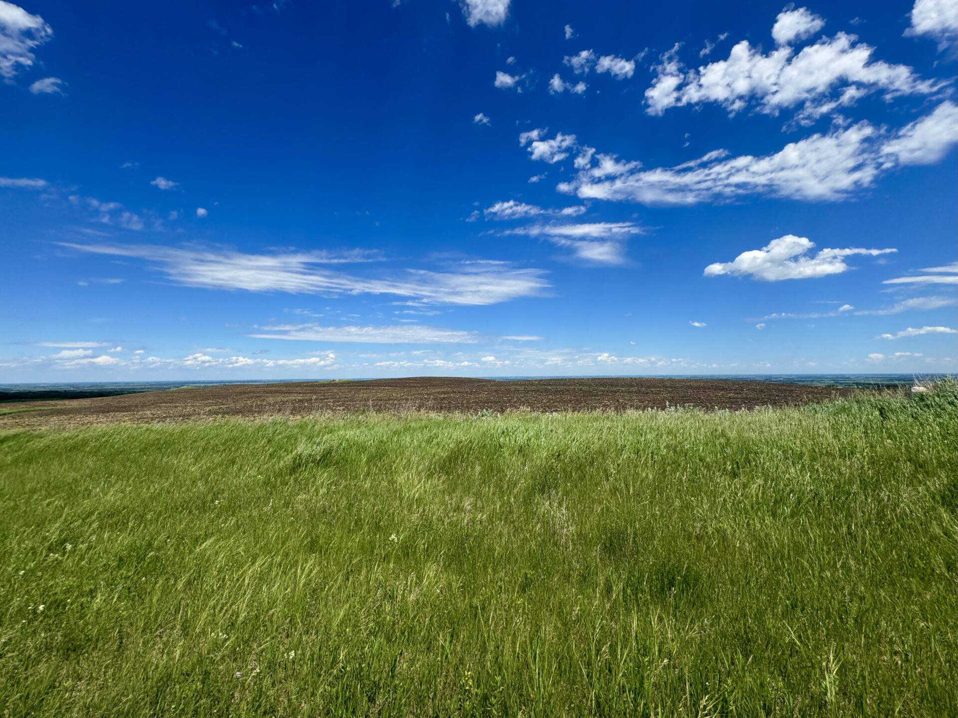440 +/- Acres – Roberts County, SD
