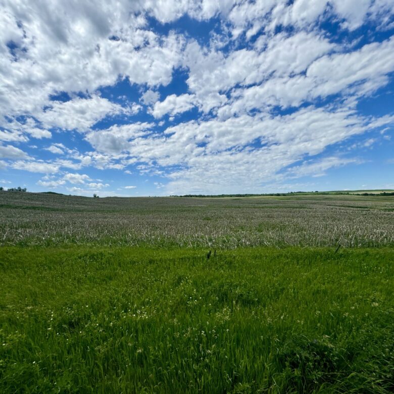 440 +/- Acres – Roberts County, SD