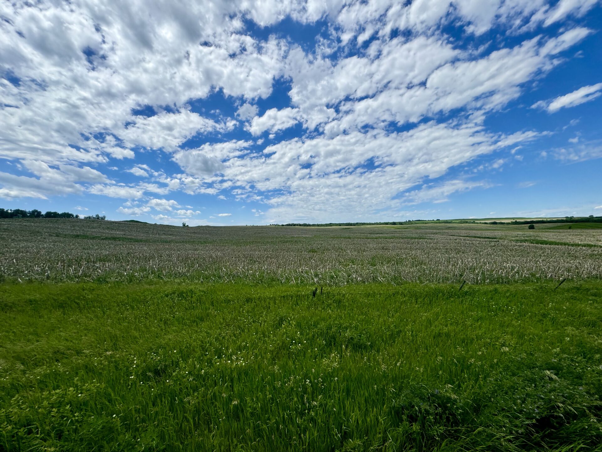 440 +/- Acres – Roberts County, SD