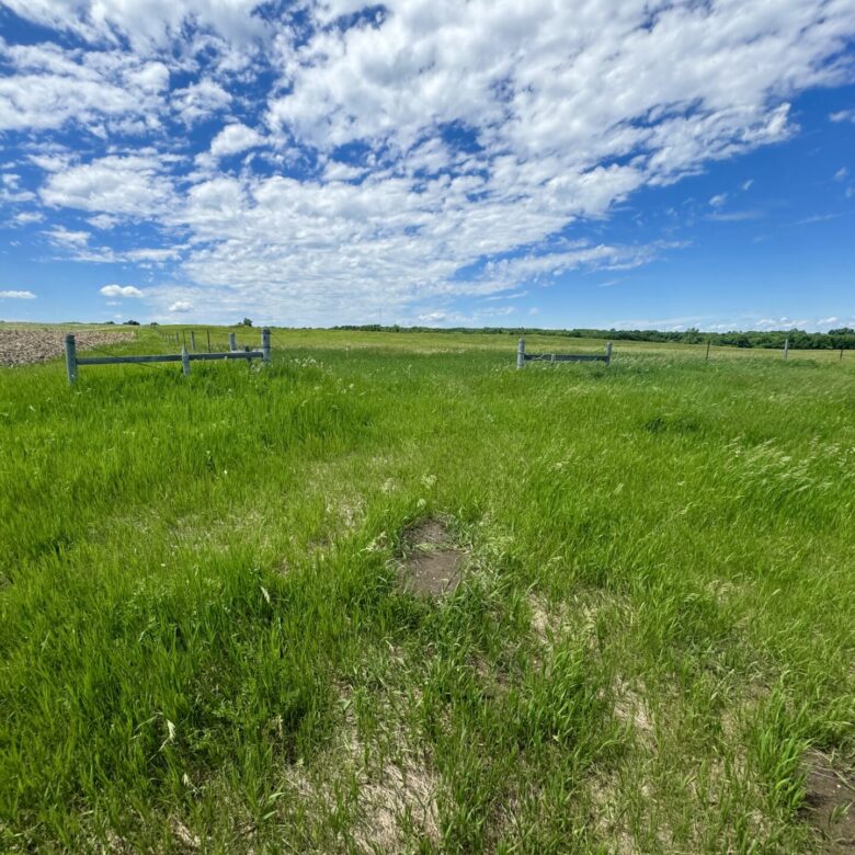 440 +/- Acres – Roberts County, SD