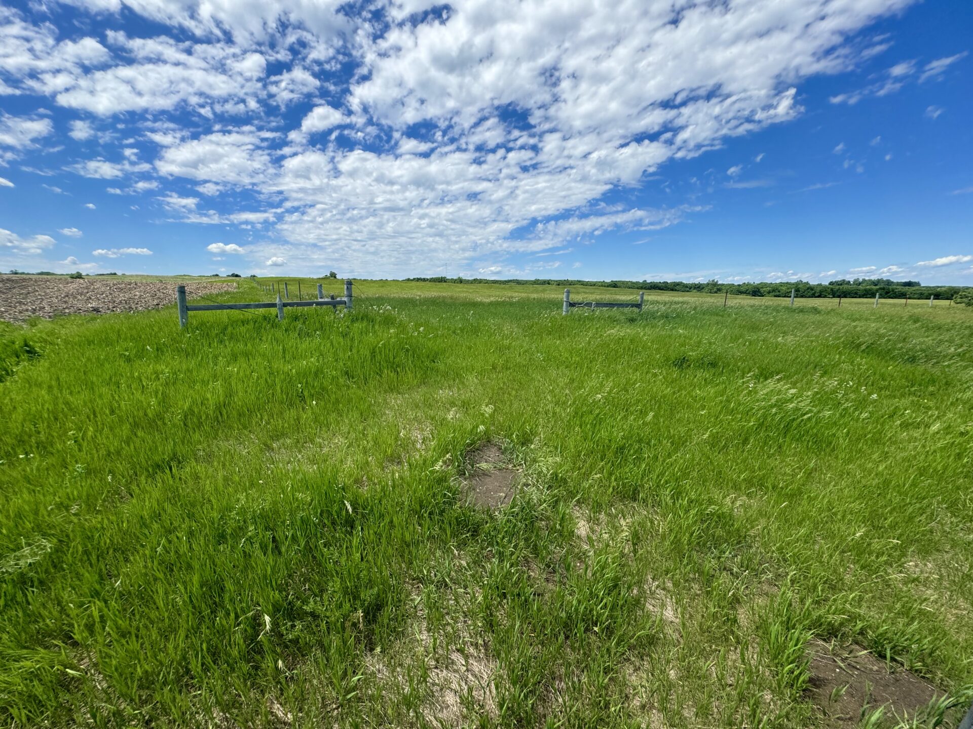 440 +/- Acres – Roberts County, SD