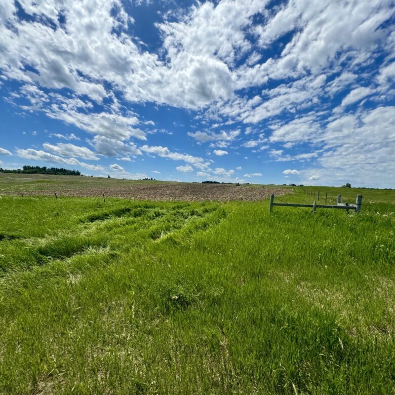 440 +/- Acres – Roberts County, SD