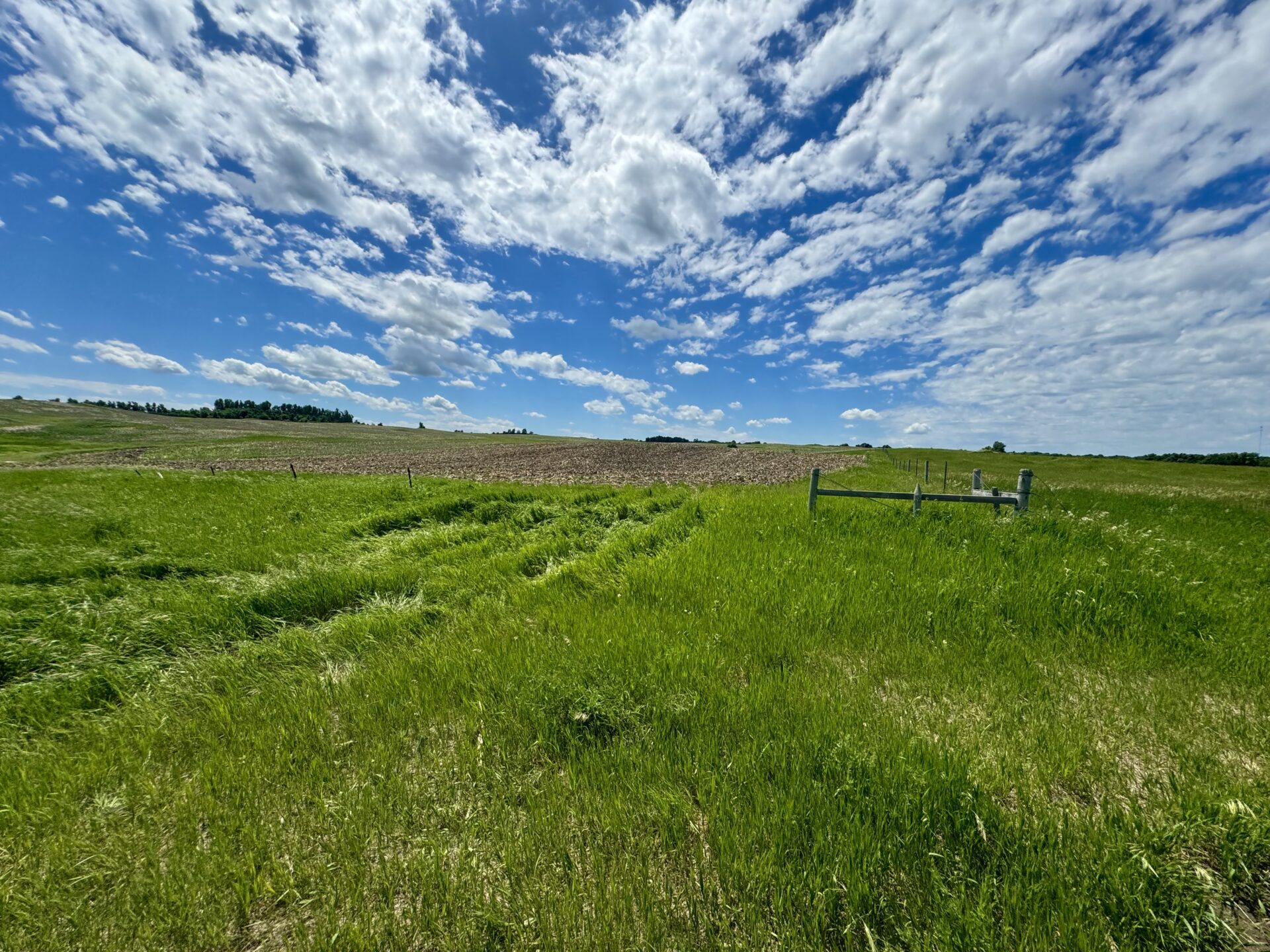 440 +/- Acres – Roberts County, SD