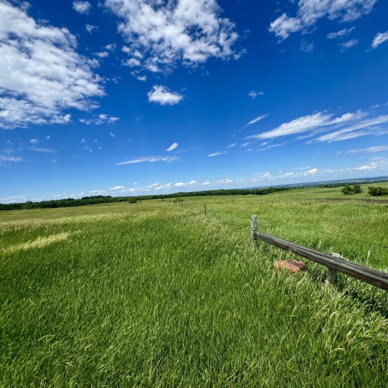 440 +/- Acres – Roberts County, SD
