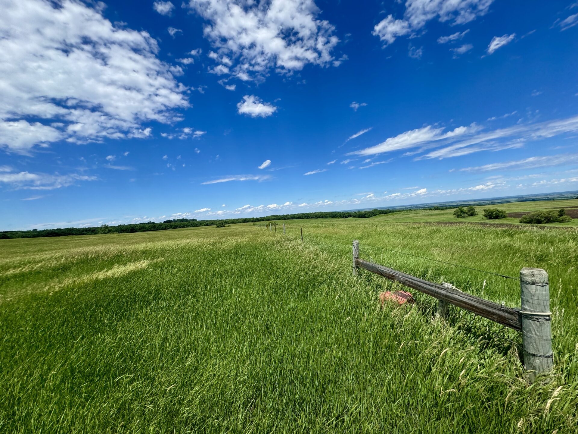 440 +/- Acres – Roberts County, SD