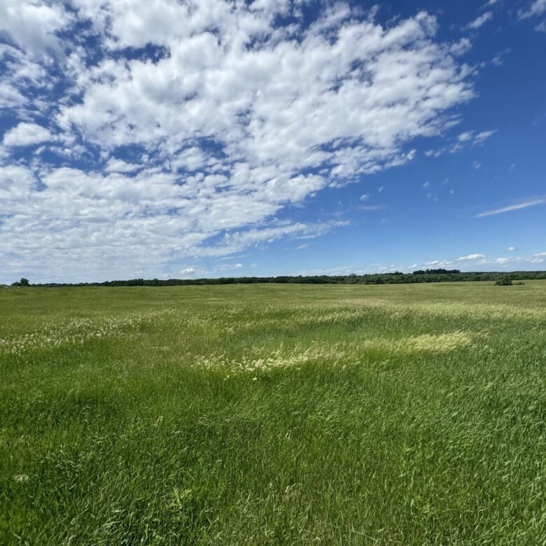 440 +/- Acres – Roberts County, SD