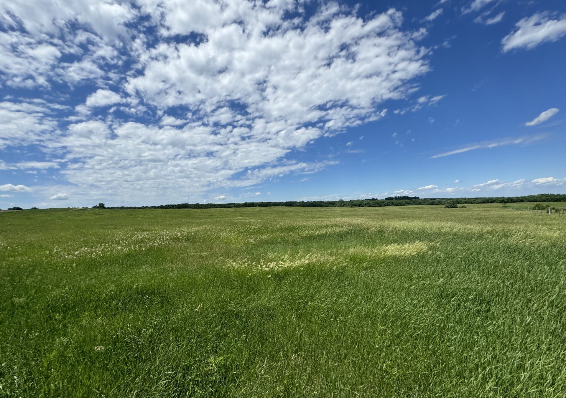 440 +/- Acres – Roberts County, SD