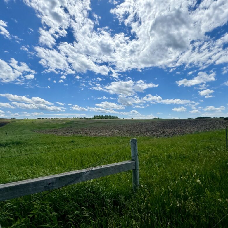 440 +/- Acres – Roberts County, SD