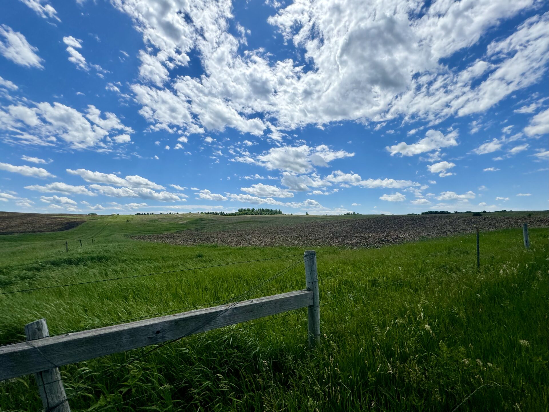 440 +/- Acres – Roberts County, SD