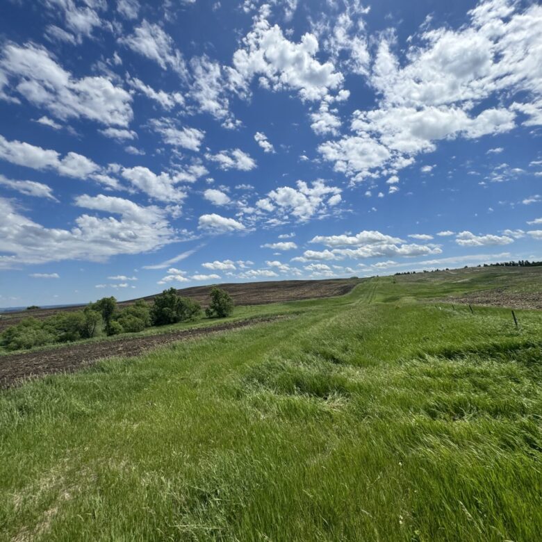 440 +/- Acres – Roberts County, SD
